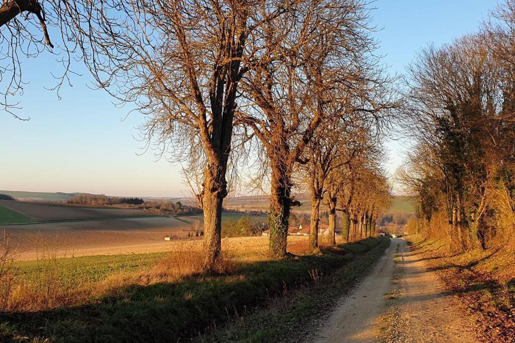 Le Bellevue A 1 H 30 De Paris Et 20 Km De Troyes Vila Estissac Exterior foto